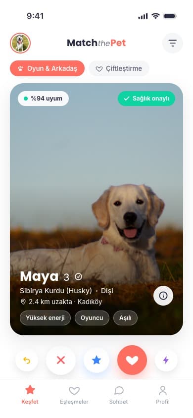 نموذج شاشة الاكتشاف في تطبيق MatchThePet للهاتف